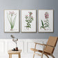 Rose Botanical I - Floater Framed Canvas Set