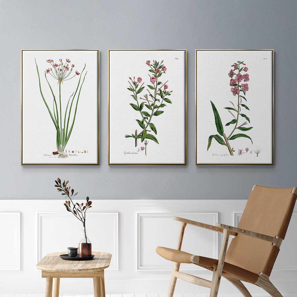 Rose Botanical I - Floater Framed Canvas Set
