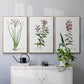 Rose Botanical I - Floater Framed Canvas Set