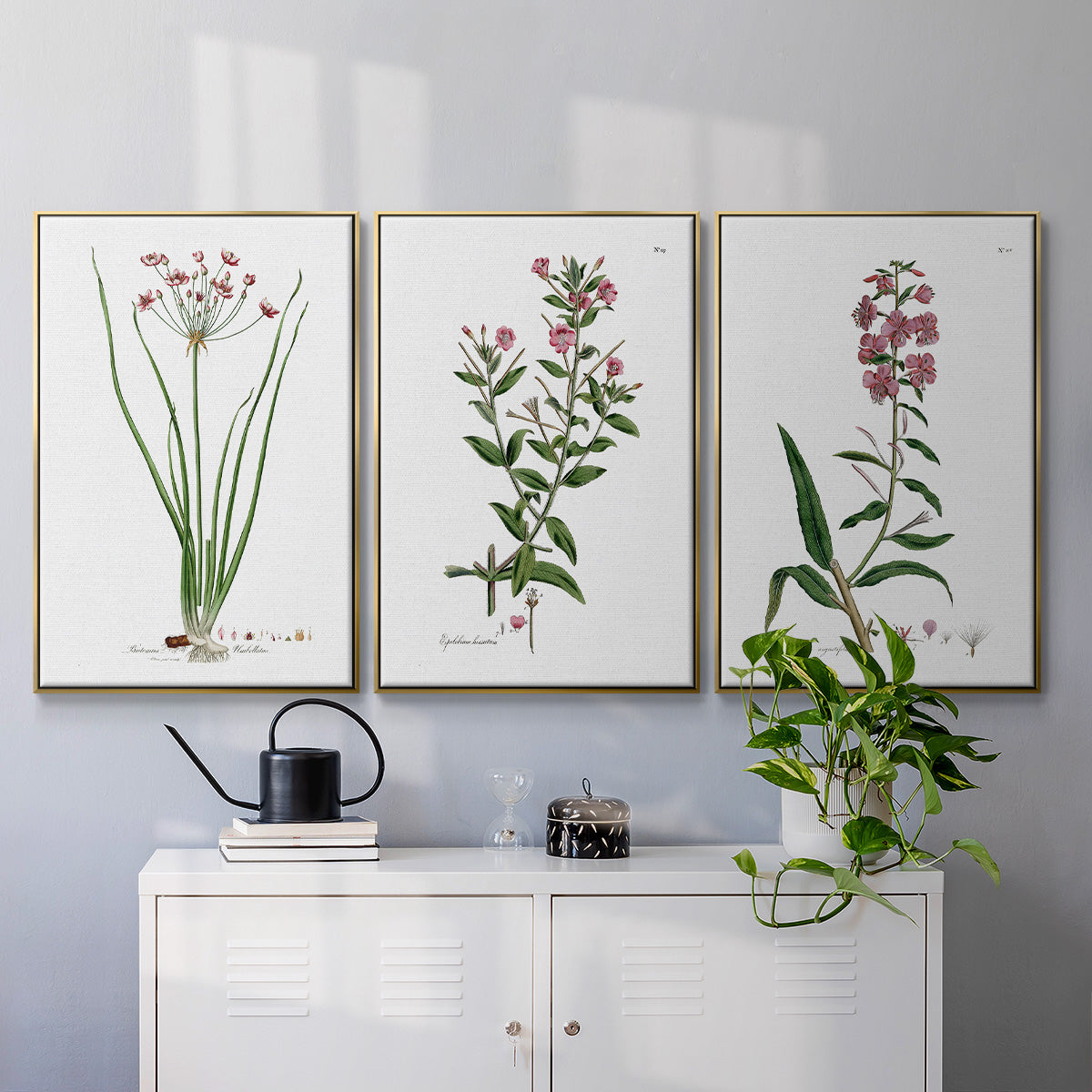 Rose Botanical I - Floater Framed Canvas Set
