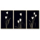 Tulip Pose I - Floater Framed Canvas Set