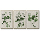 Forest Foliage on Linen I - Floater Framed Canvas Set