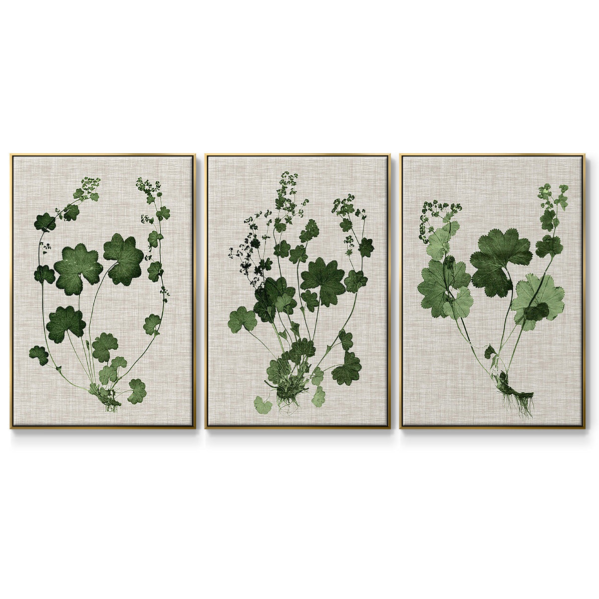 Forest Foliage on Linen I - Floater Framed Canvas Set