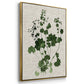 Forest Foliage on Linen I - Floater Framed Canvas Set