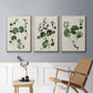 Forest Foliage on Linen I - Floater Framed Canvas Set