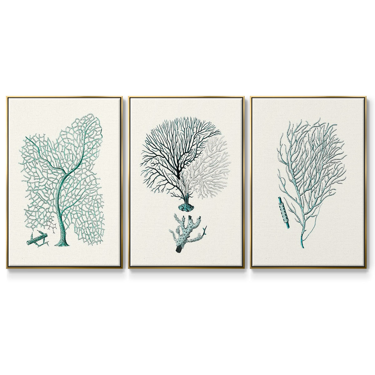 Antique Coastal Coral I - Floater Framed Canvas Set