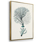 Antique Coastal Coral I - Floater Framed Canvas Set