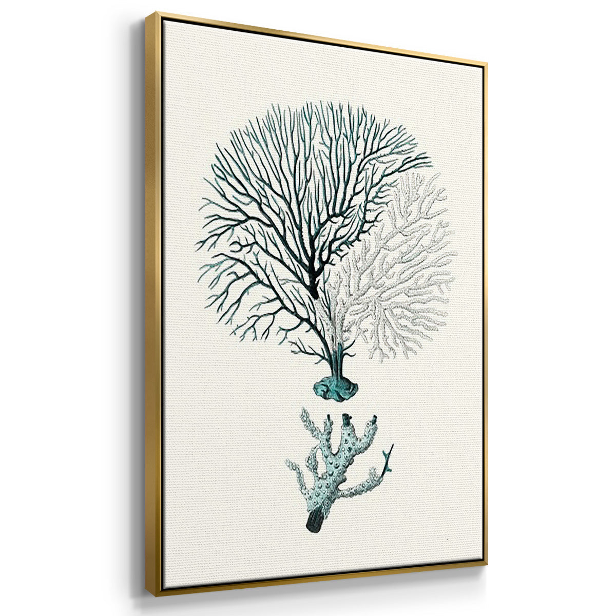 Antique Coastal Coral I - Floater Framed Canvas Set