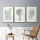 Antique Coastal Coral I - Floater Framed Canvas Set
