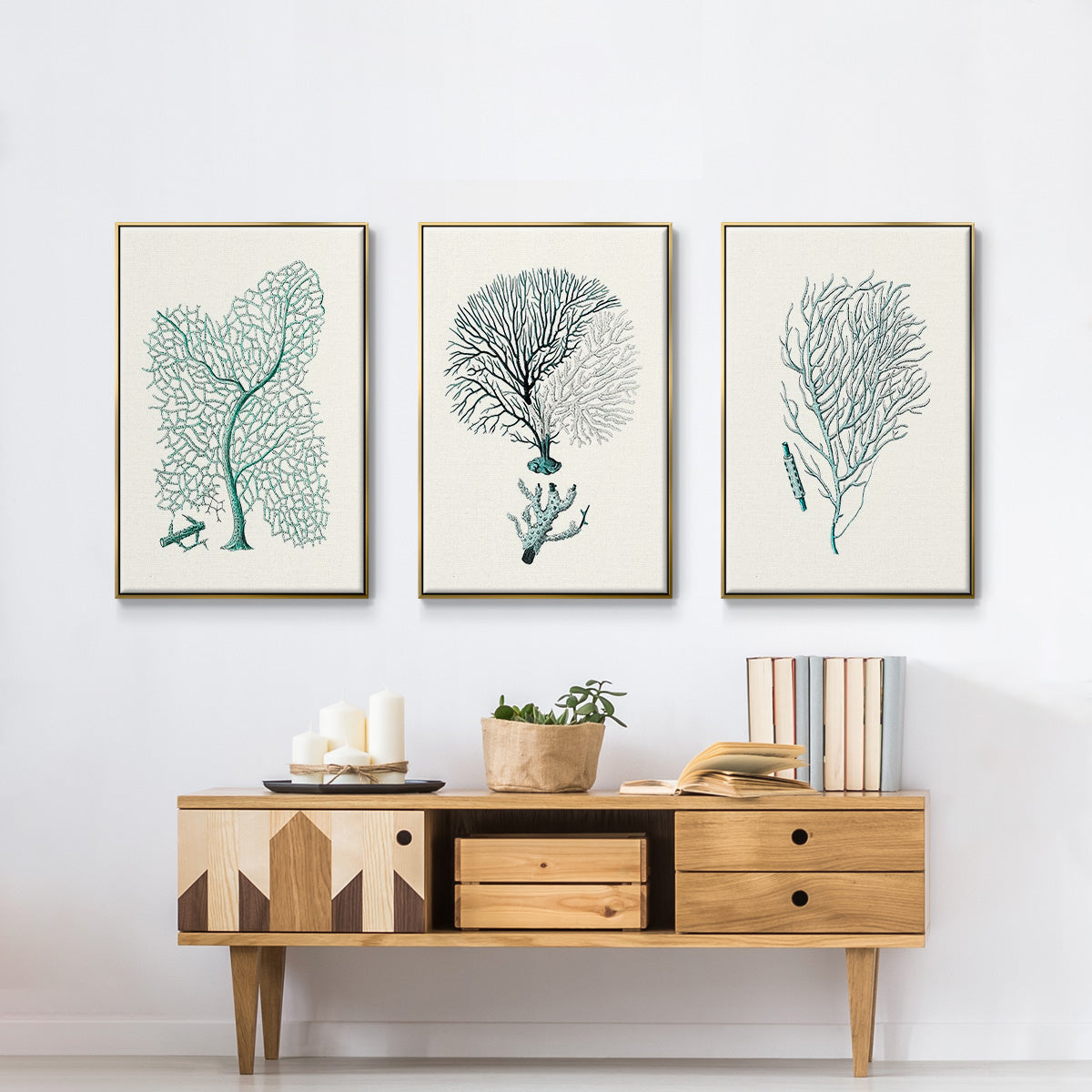 Antique Coastal Coral I - Floater Framed Canvas Set