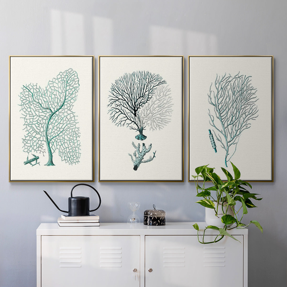 Antique Coastal Coral I - Floater Framed Canvas Set