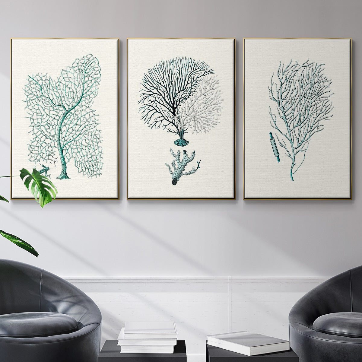 Antique Coastal Coral I - Floater Framed Canvas Set