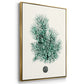 Antique Coastal Coral IV - Floater Framed Canvas Set