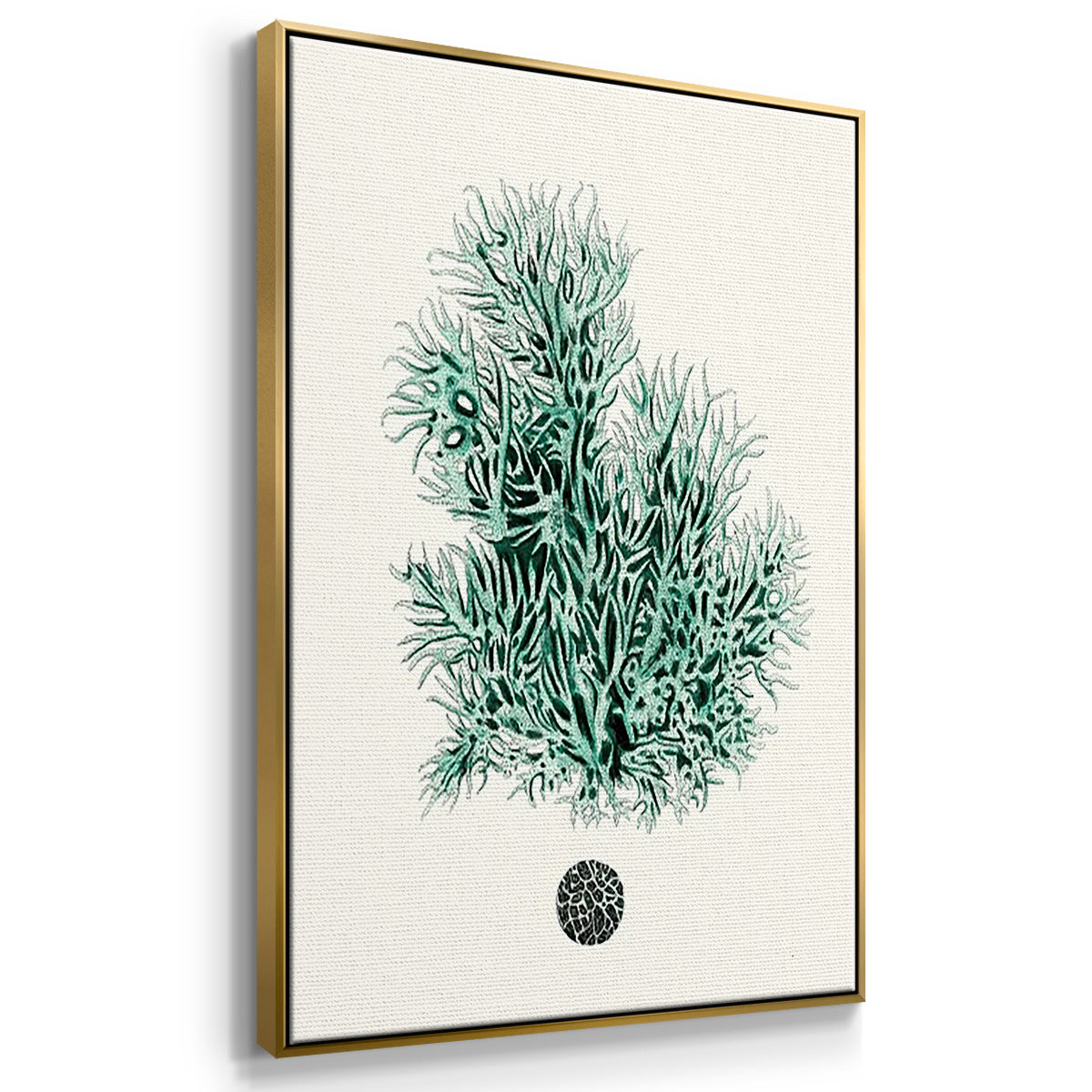 Antique Coastal Coral IV - Floater Framed Canvas Set