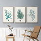 Antique Coastal Coral IV - Floater Framed Canvas Set