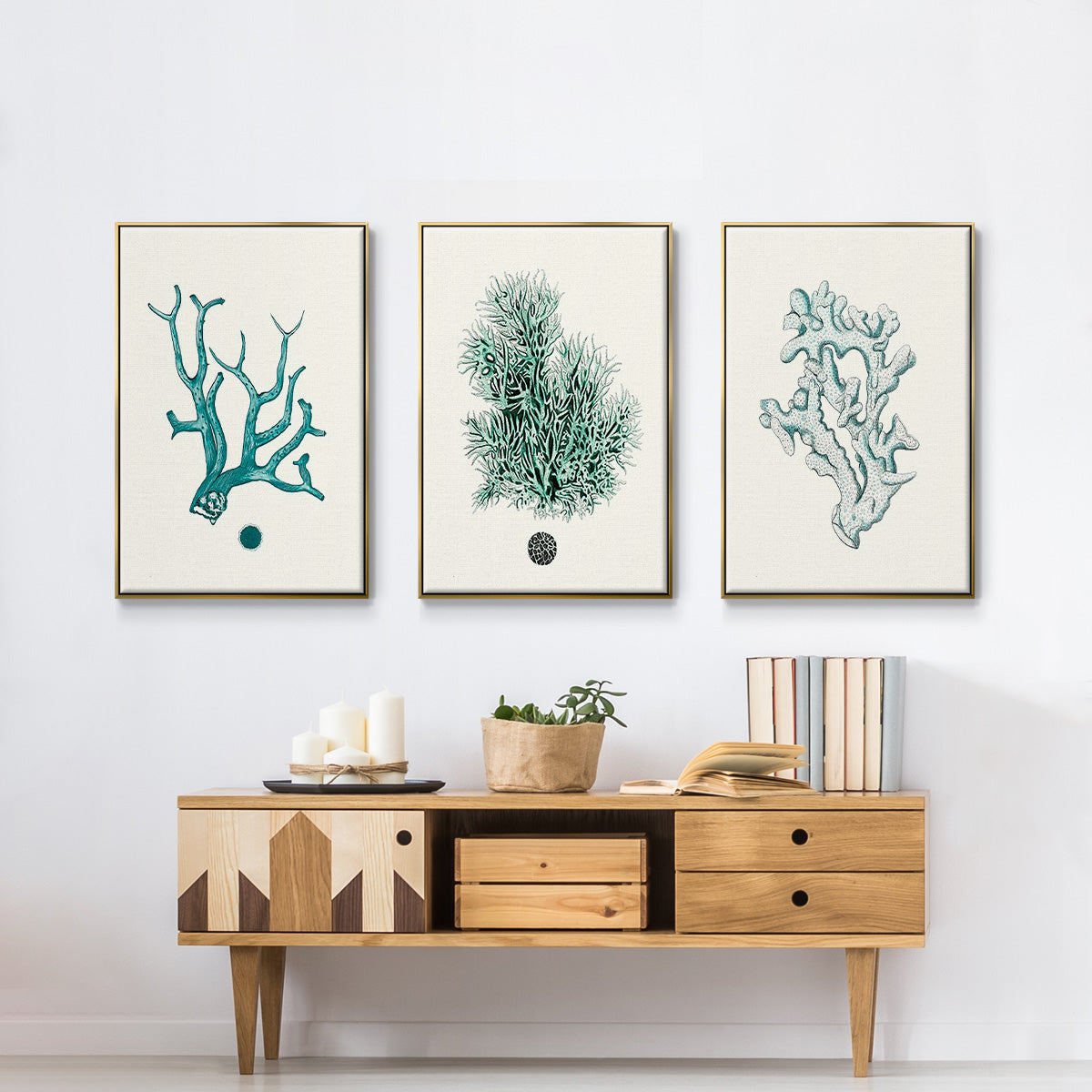 Antique Coastal Coral IV - Floater Framed Canvas Set
