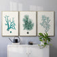Antique Coastal Coral IV - Floater Framed Canvas Set