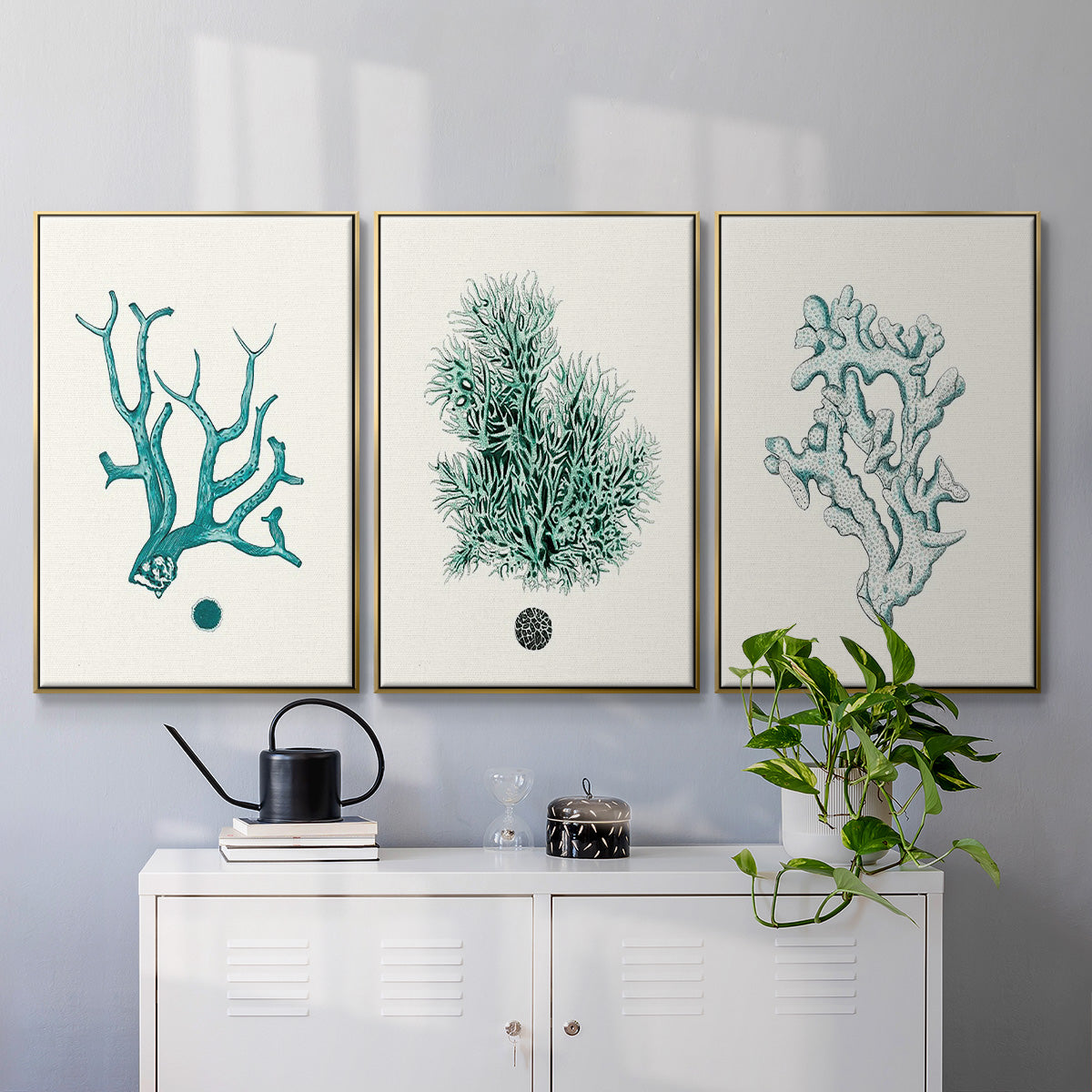 Antique Coastal Coral IV - Floater Framed Canvas Set