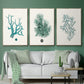 Antique Coastal Coral IV - Floater Framed Canvas Set