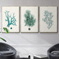 Antique Coastal Coral IV - Floater Framed Canvas Set