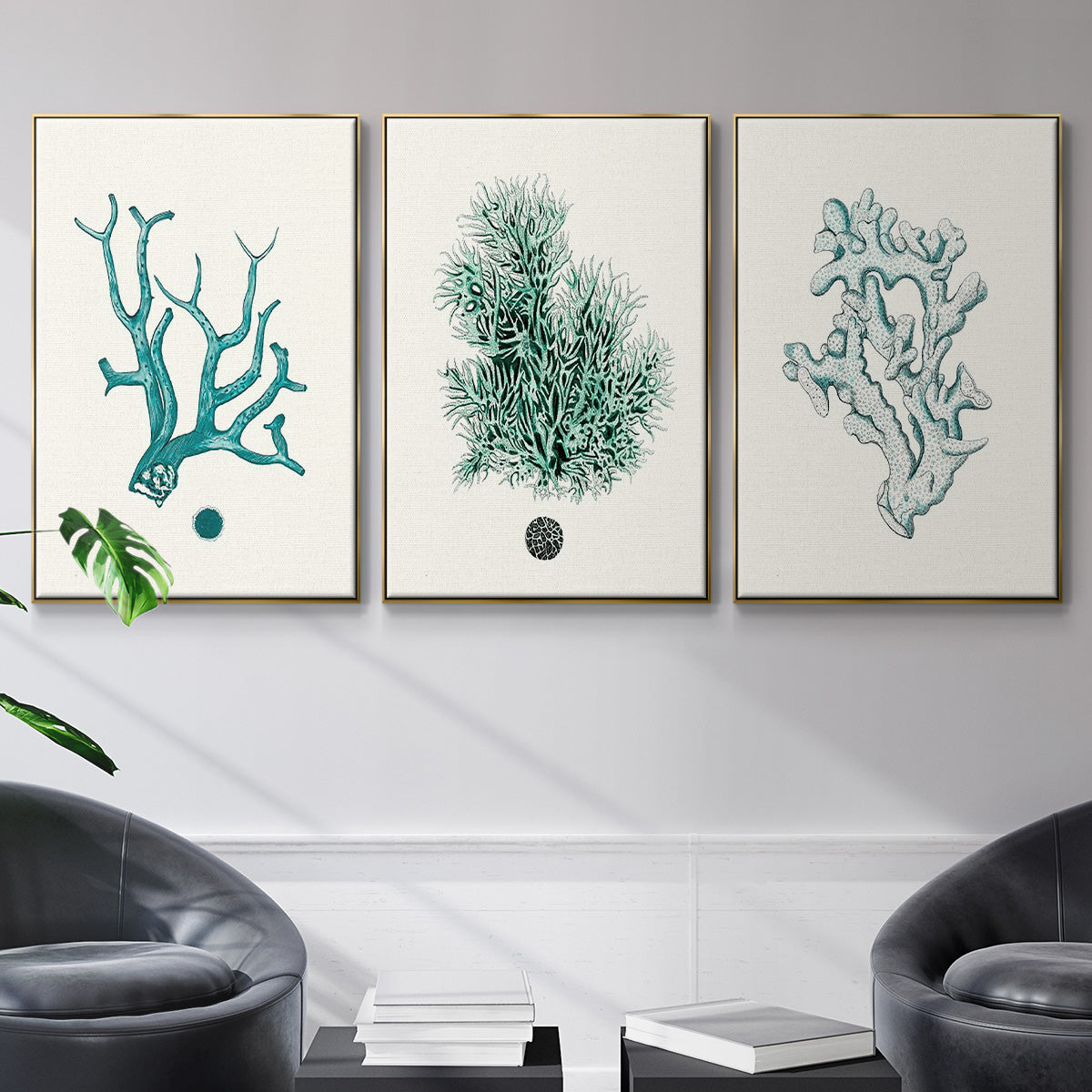 Antique Coastal Coral IV - Floater Framed Canvas Set