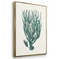 Antique Coastal Coral VI - Floater Framed Canvas Set