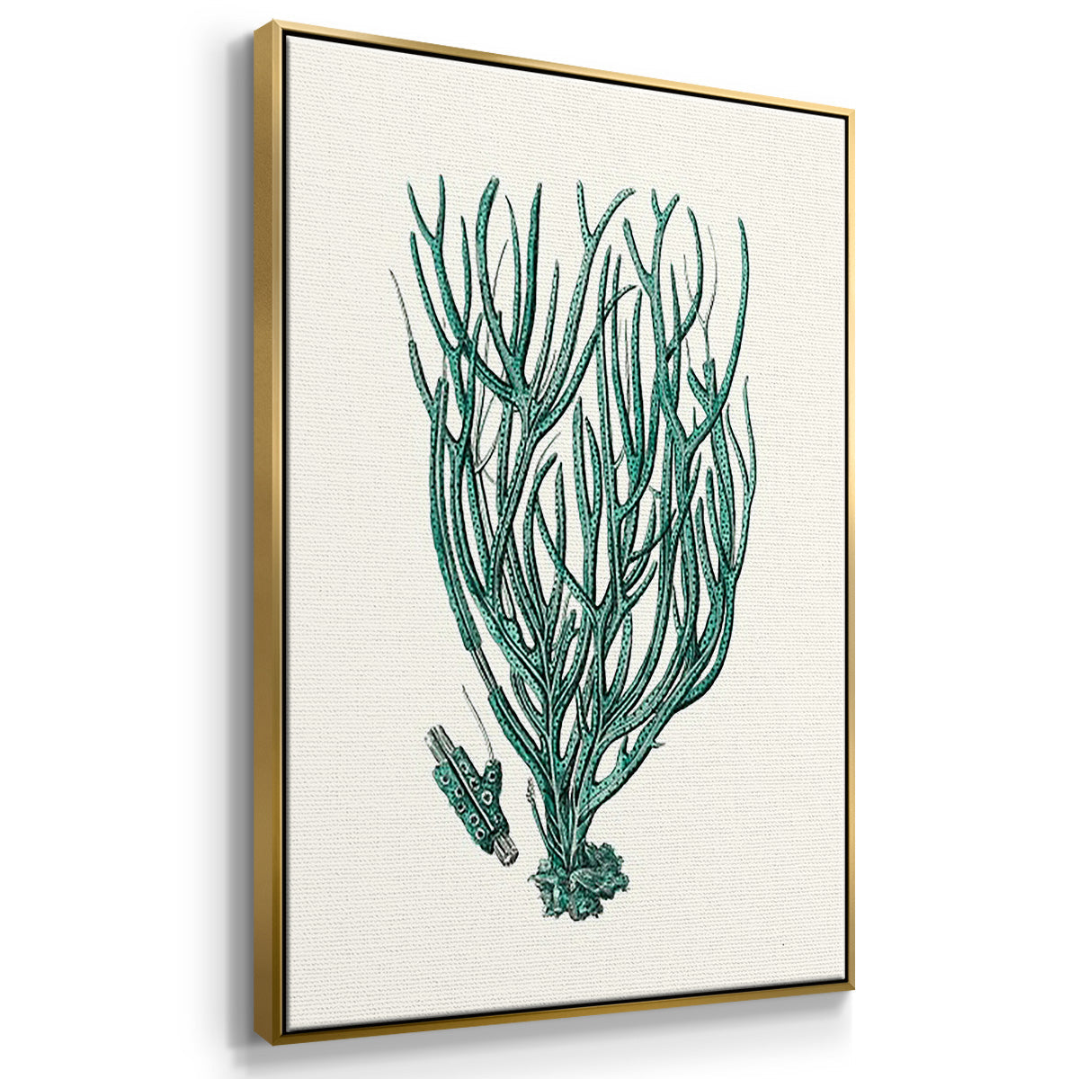 Antique Coastal Coral VI - Floater Framed Canvas Set