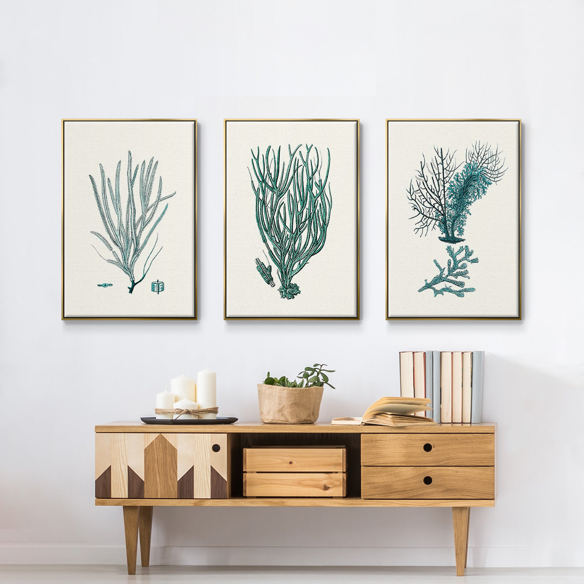 Antique Coastal Coral VI - Floater Framed Canvas Set