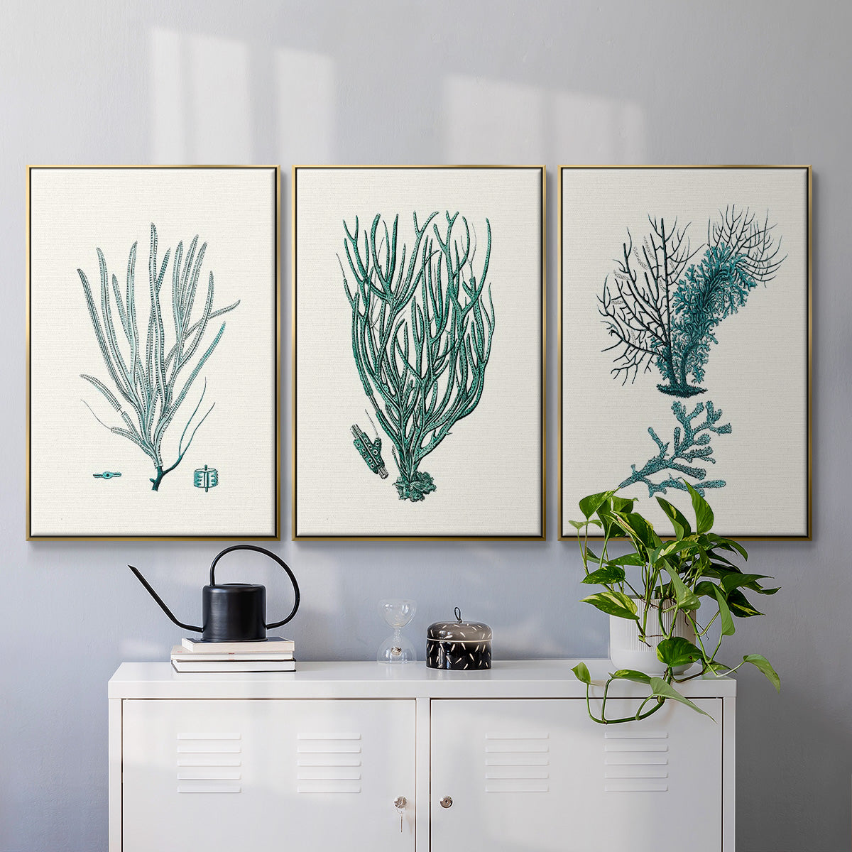 Antique Coastal Coral VI - Floater Framed Canvas Set