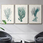 Antique Coastal Coral VI - Floater Framed Canvas Set