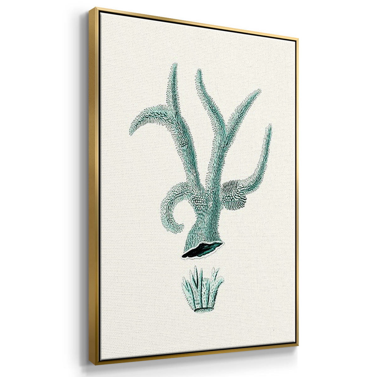 Antique Coastal Coral X - Floater Framed Canvas Set