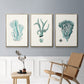 Antique Coastal Coral X - Floater Framed Canvas Set