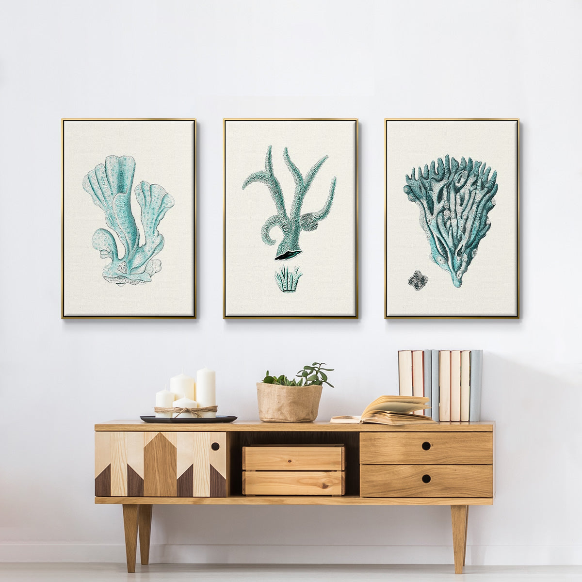 Antique Coastal Coral X - Floater Framed Canvas Set