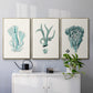 Antique Coastal Coral X - Floater Framed Canvas Set