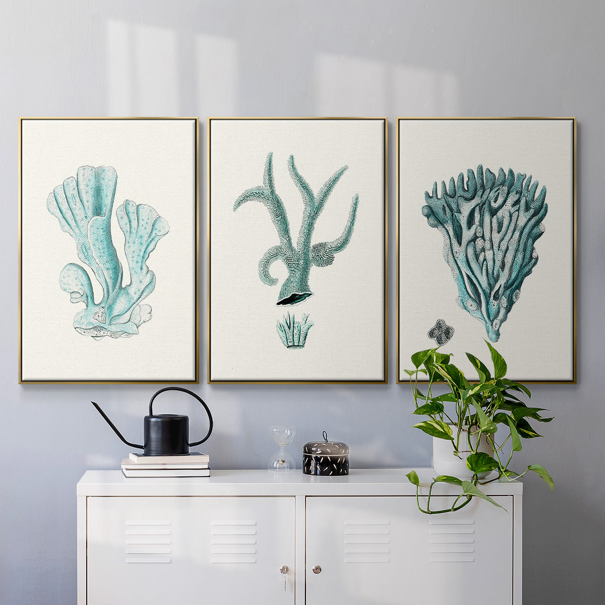 Antique Coastal Coral X - Floater Framed Canvas Set