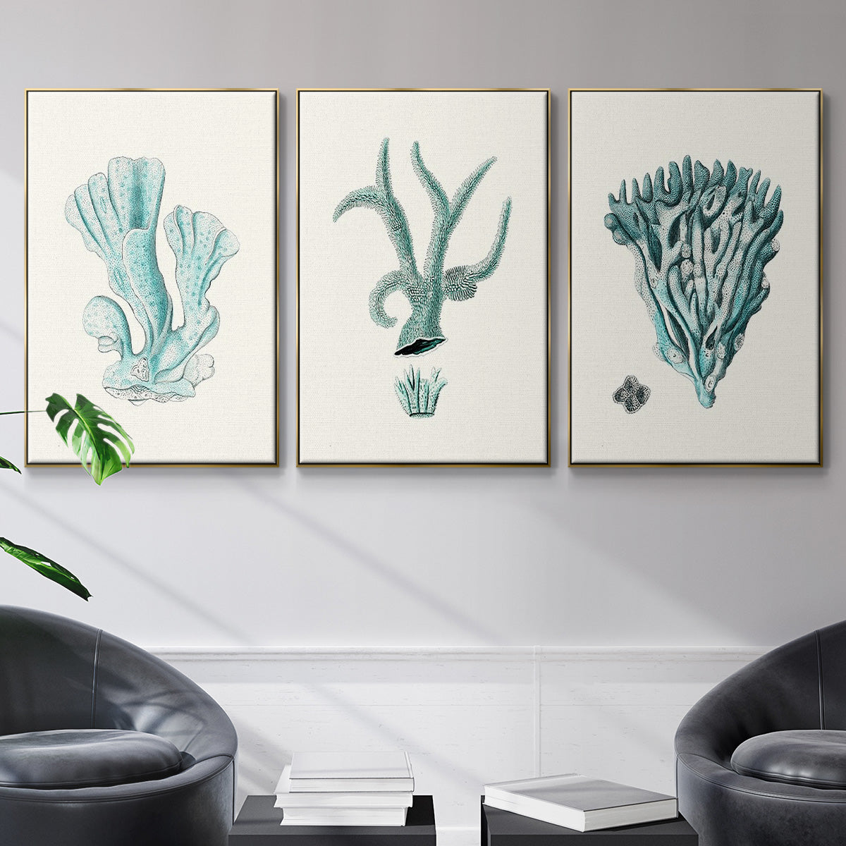 Antique Coastal Coral X - Floater Framed Canvas Set