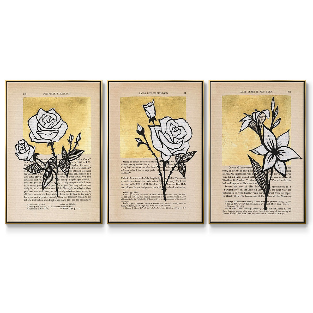 Floral Diary I - Floater Framed Canvas Set