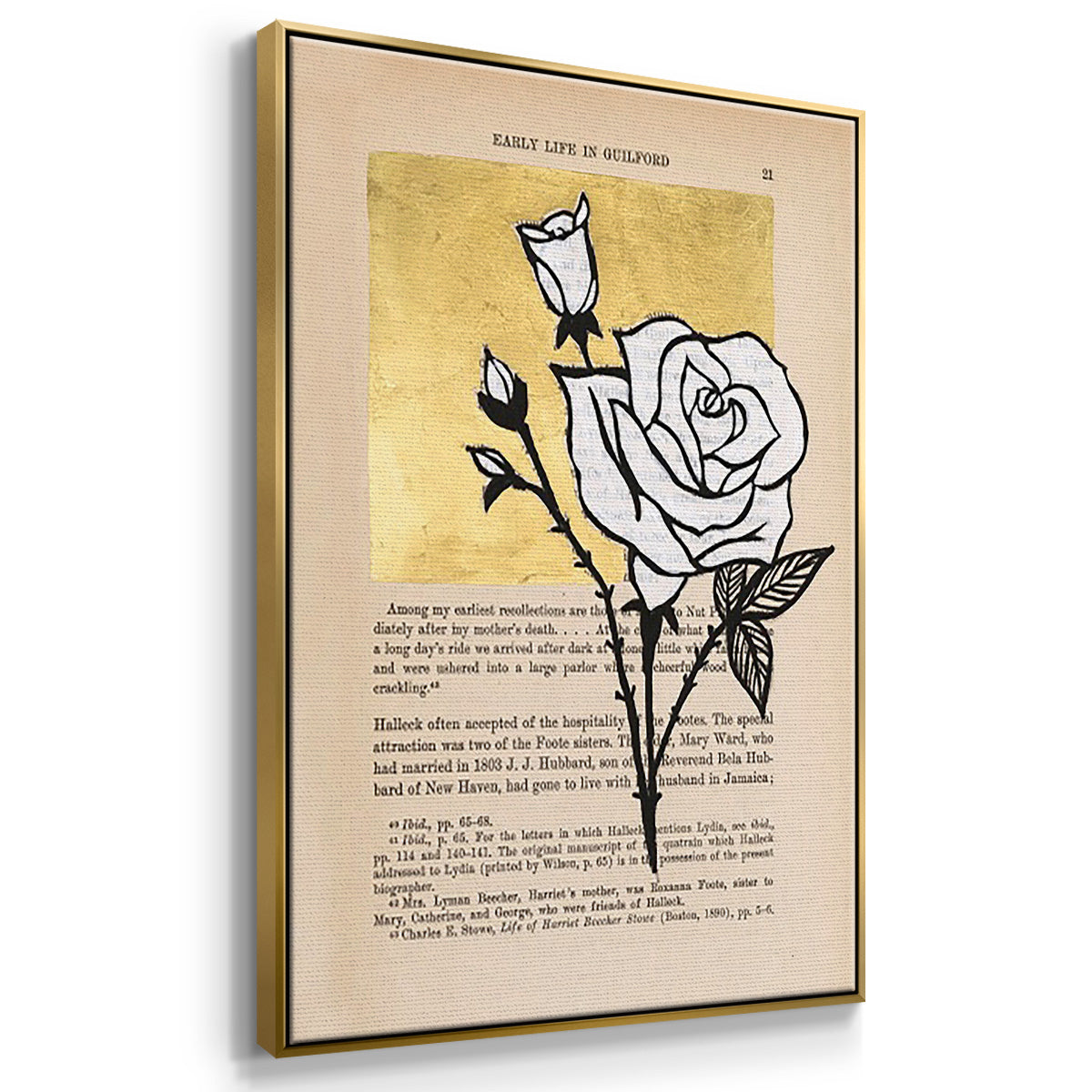 Floral Diary I - Floater Framed Canvas Set