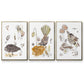 Glowing Garden at Dusk IV - Floater Framed Canvas Set