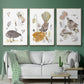 Glowing Garden at Dusk IV - Floater Framed Canvas Set