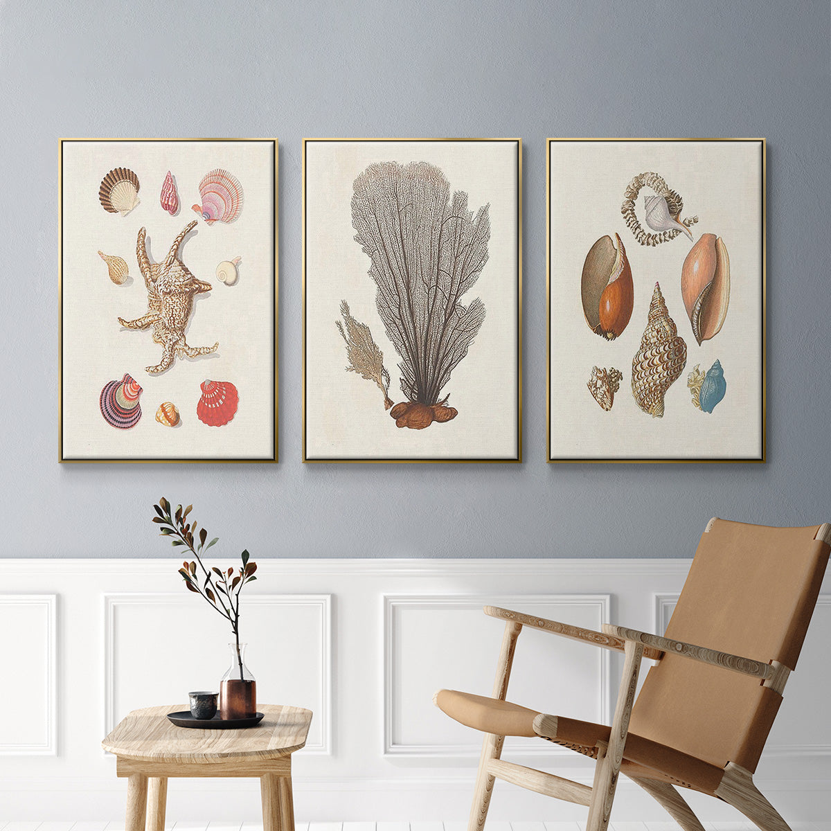 Knorr Shells & Coral I - Floater Framed Canvas Set