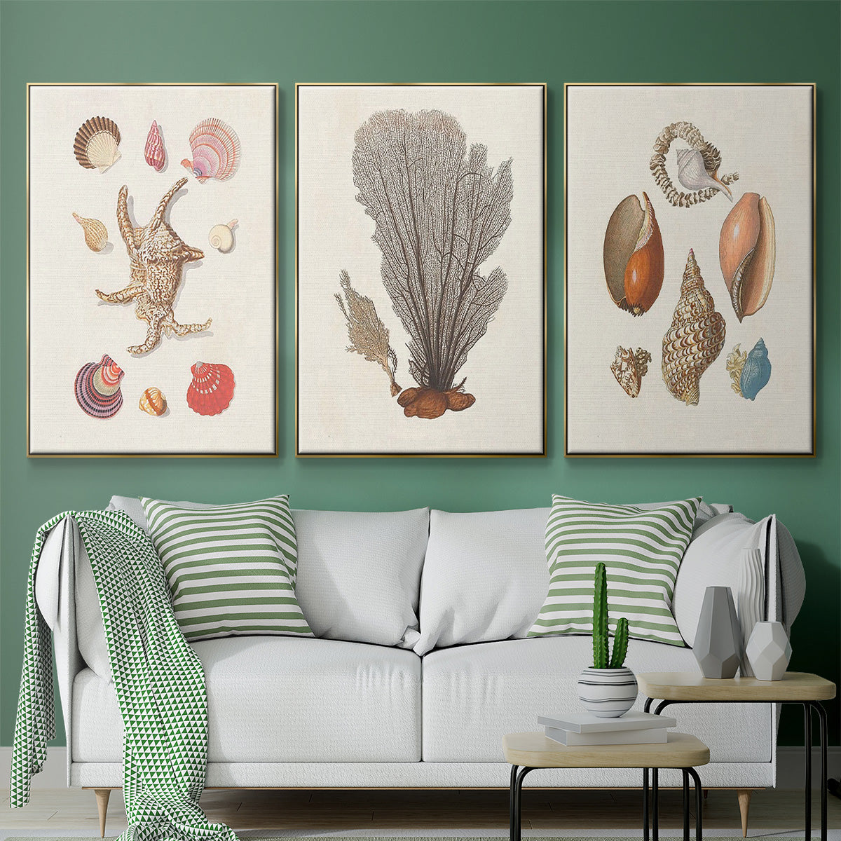 Knorr Shells & Coral I - Floater Framed Canvas Set