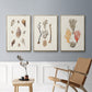 Knorr Shells & Coral IV - Floater Framed Canvas Set