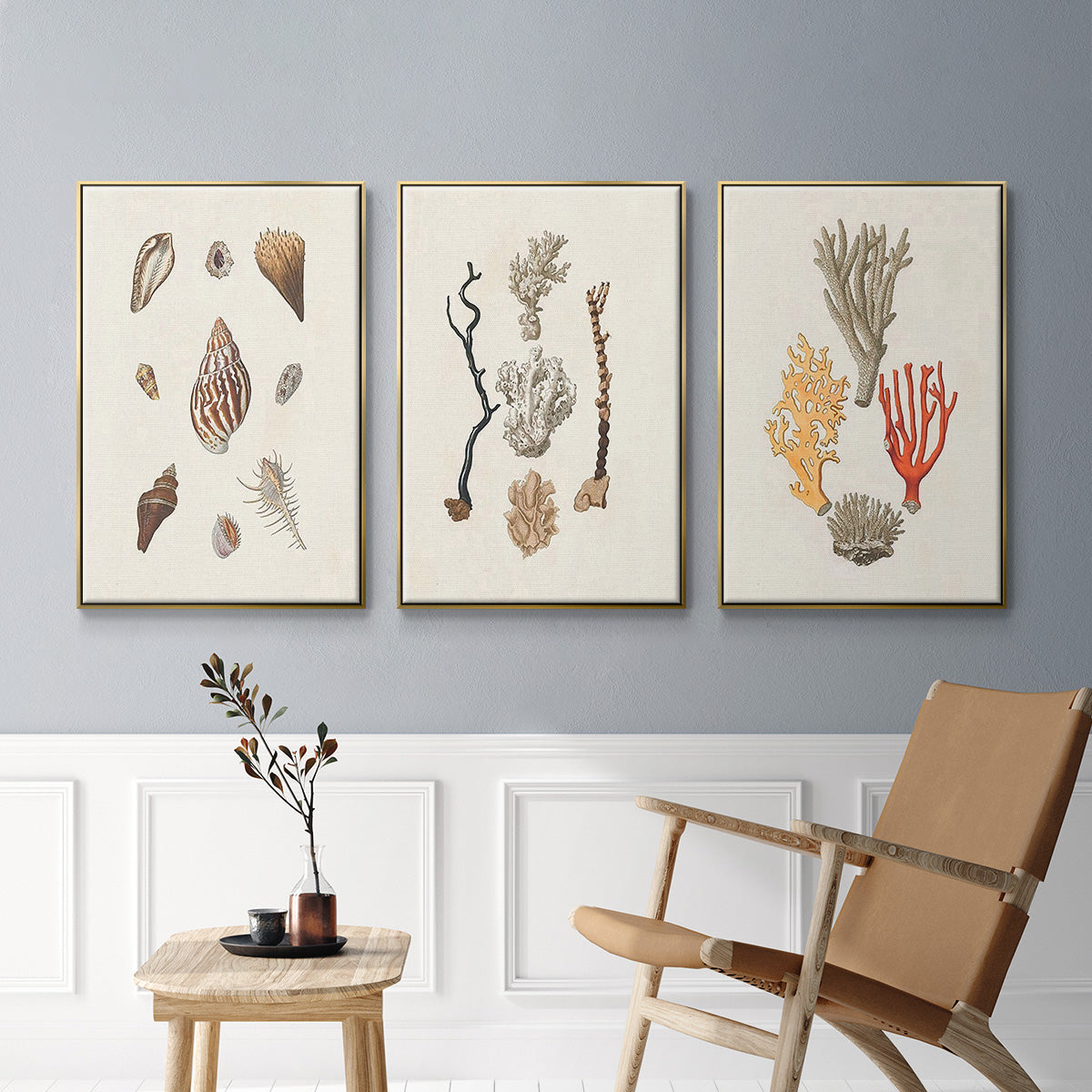Knorr Shells & Coral IV - Floater Framed Canvas Set