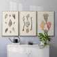 Knorr Shells & Coral IV - Floater Framed Canvas Set