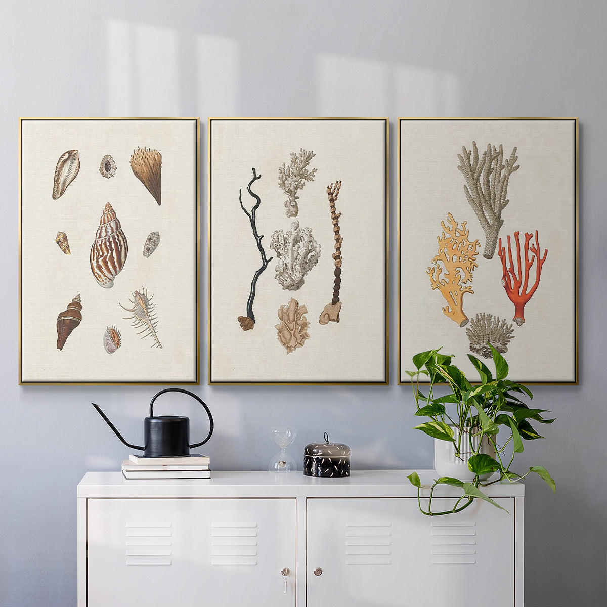 Knorr Shells & Coral IV - Floater Framed Canvas Set