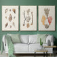 Knorr Shells & Coral IV - Floater Framed Canvas Set