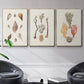 Knorr Shells & Coral IV - Floater Framed Canvas Set