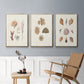 Knorr Shells & Coral VI - Floater Framed Canvas Set