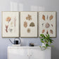 Knorr Shells & Coral VI - Floater Framed Canvas Set